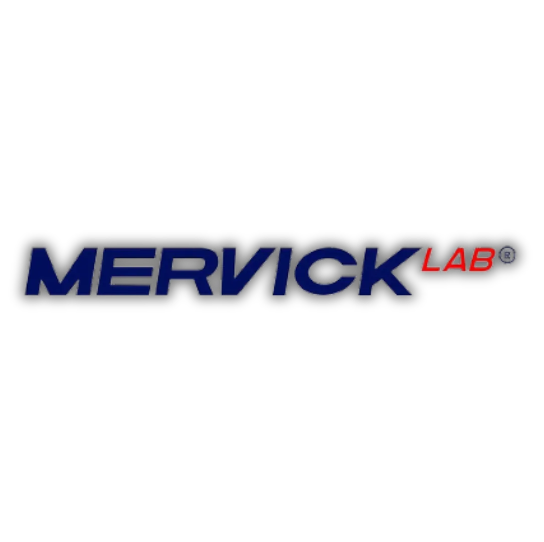 Logo Mervick