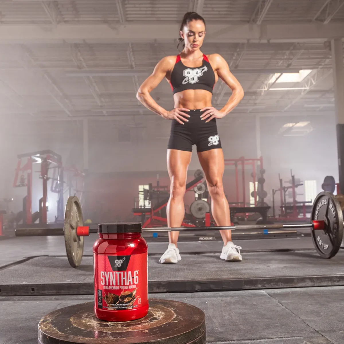 BSN Syntha 6 Whey Protein